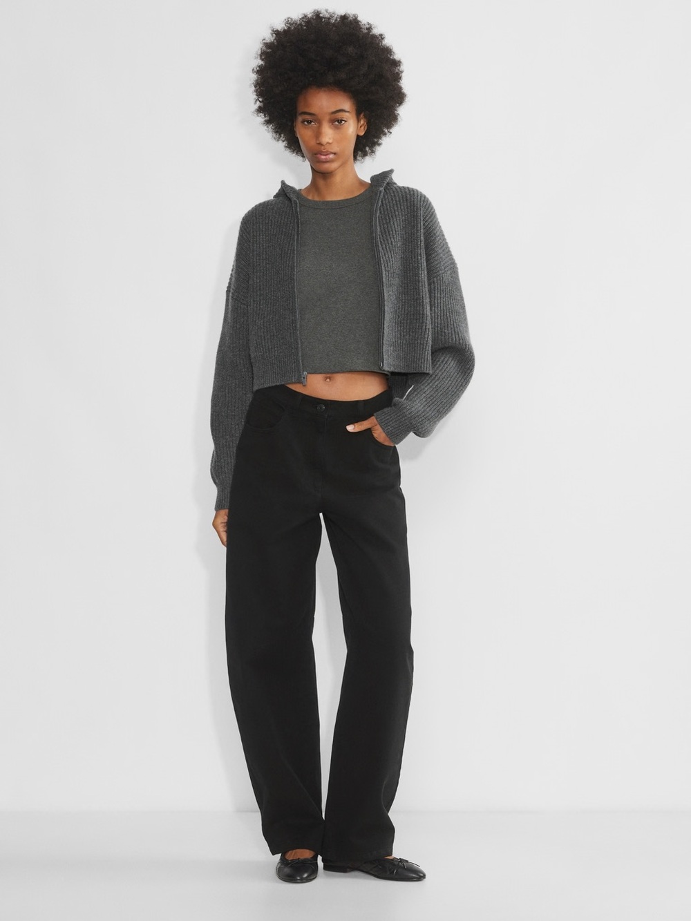 Aritzia Sunday Best 100% cotton high-rise barrel-leg pants